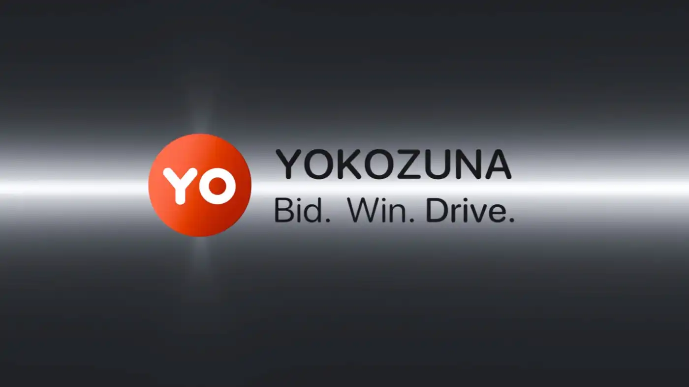 Sumotori Japan - знакомство с системой